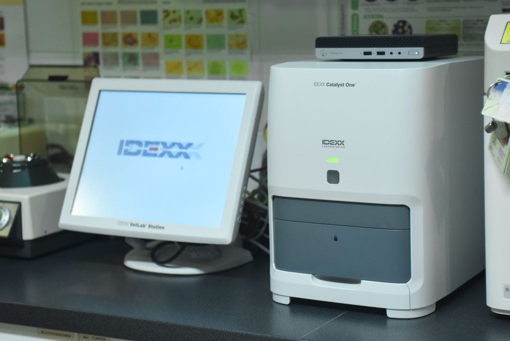 IDEXX Catalyst One Tierarztpraxis Fernitz