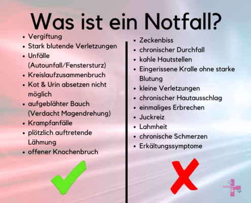 Notfall-Information: Warum es zu Wartezeiten kommen kann