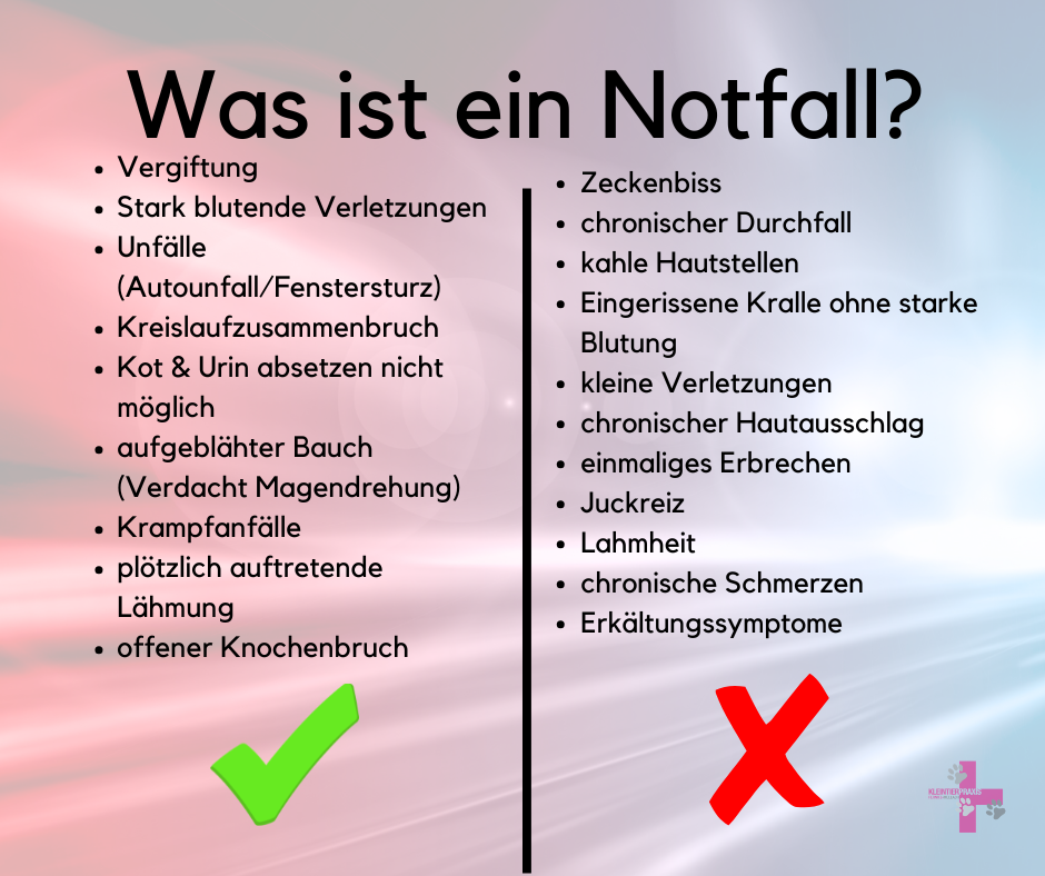 Notfall-Information: Warum es zu Wartezeiten kommen kann