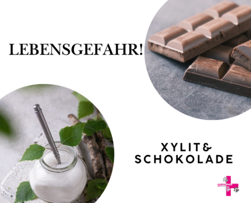 Schokolade und Xylith sind für Hunde und Katzen giftig.