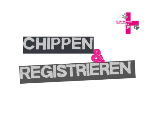 Haustiere chippen reicht nicht – sie müssen auch registriert werden!