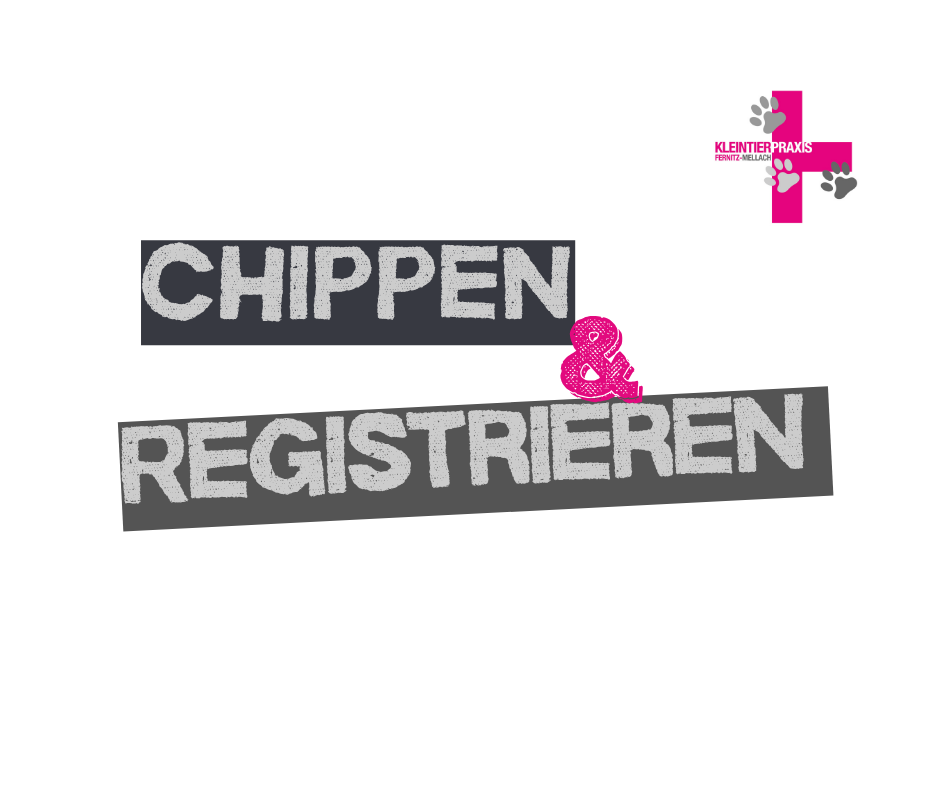 Haustiere chippen reicht nicht – sie müssen auch registriert werden!