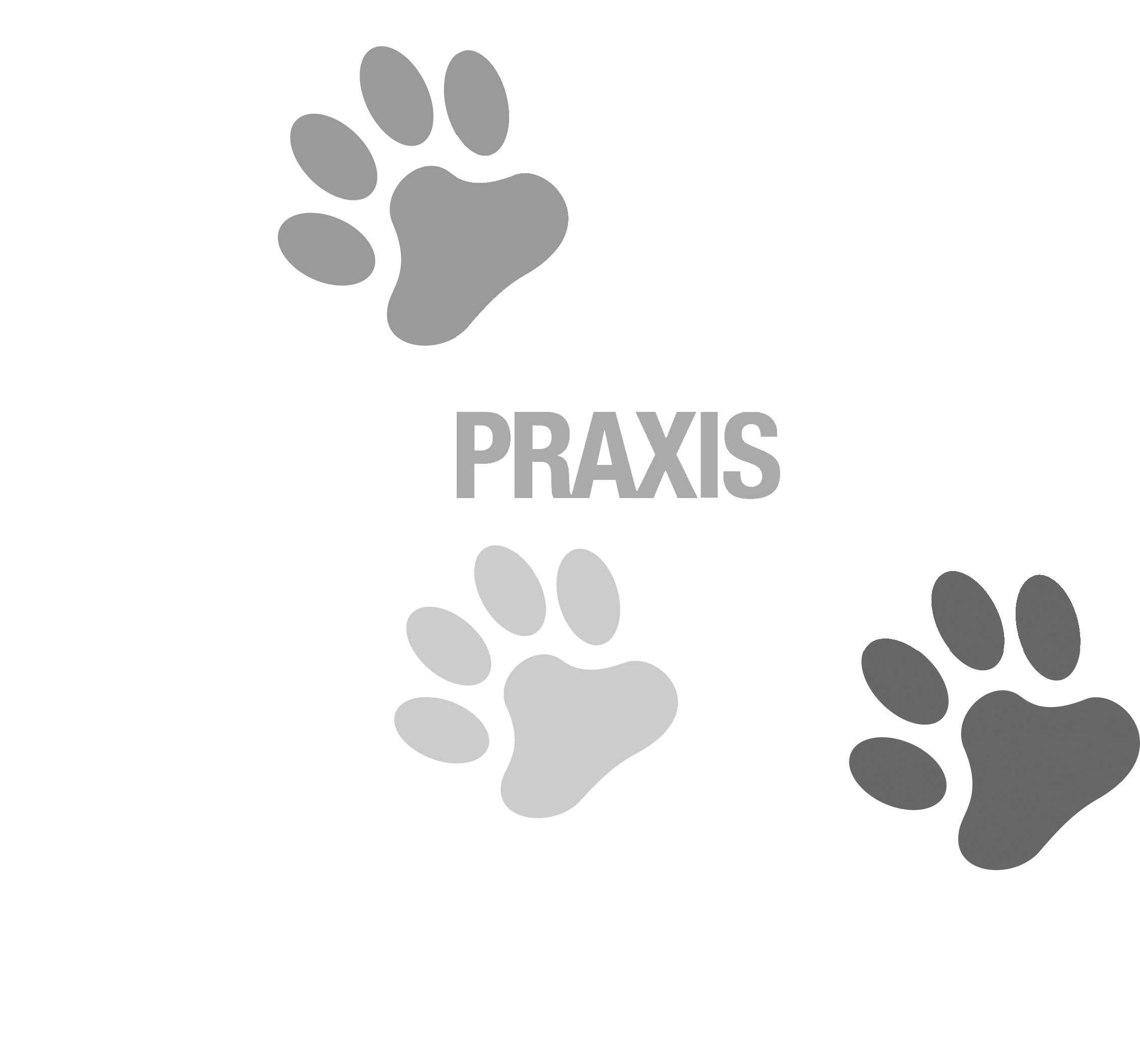 Kleintierpraxis Fernitz-Mellach